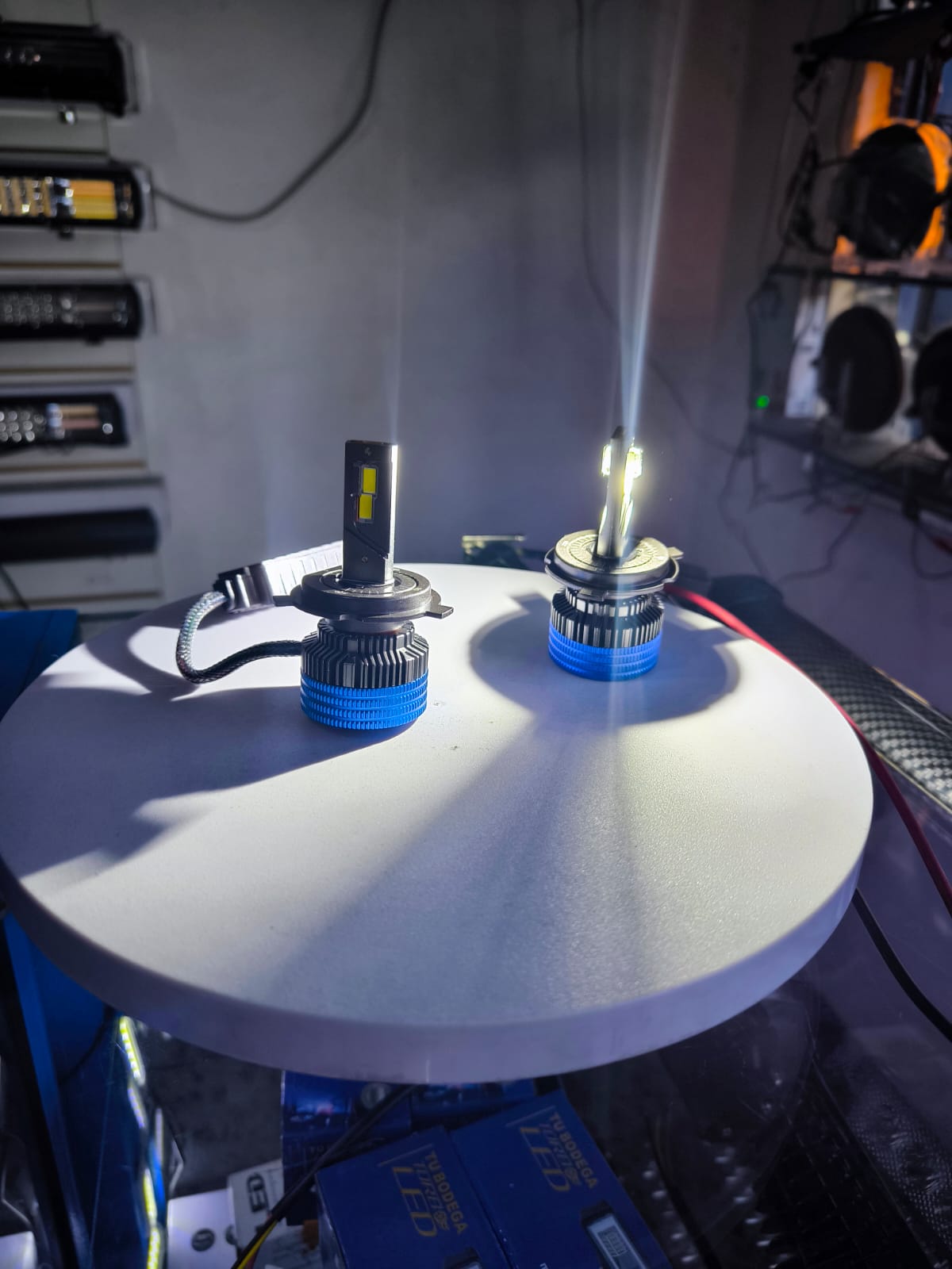 PAR BOMBILLOS CAMBUS(V15-H4)